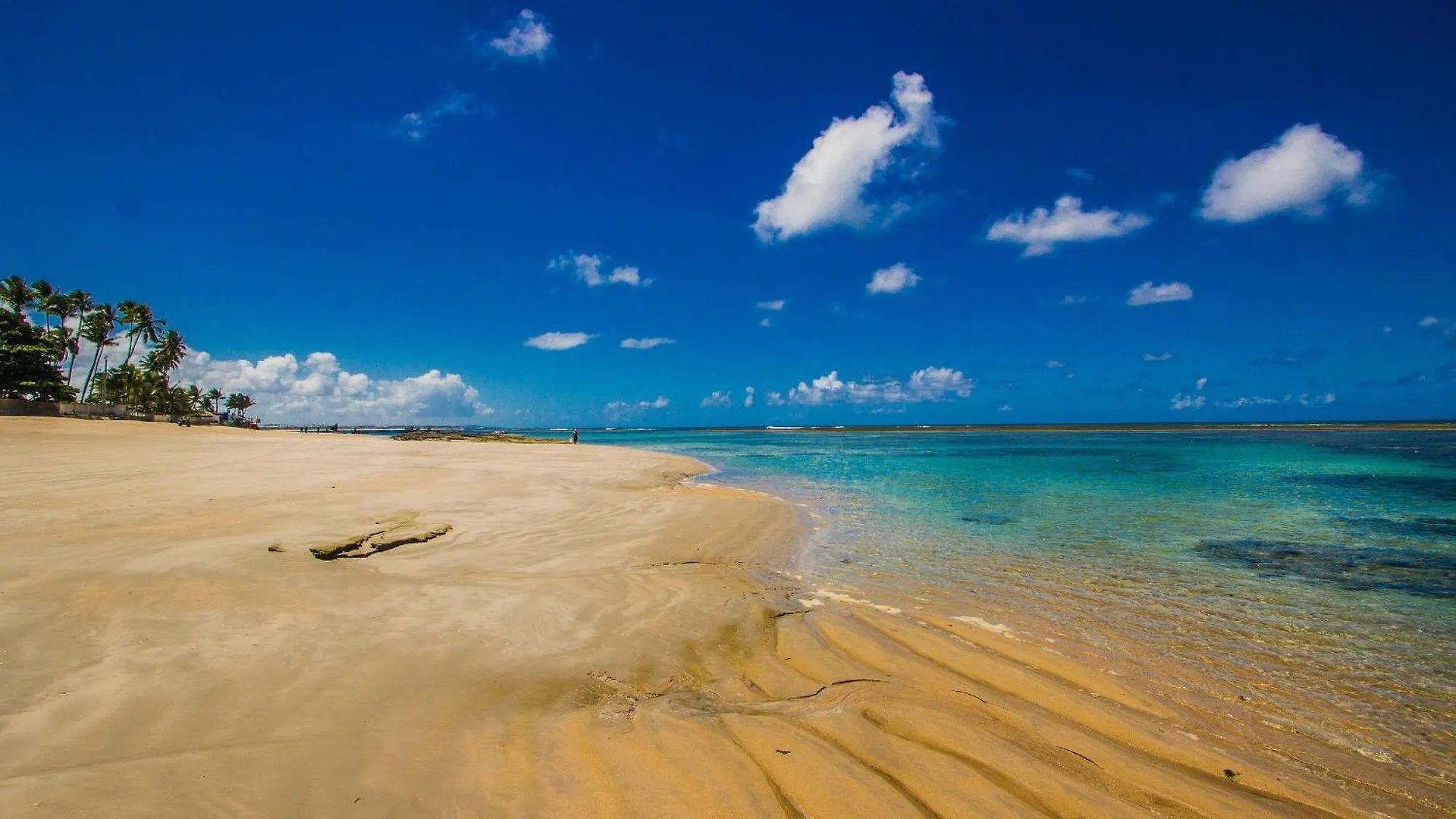 Apt Lindo No Palm Village Em Porto De Galinhas - Eco13 Brazil